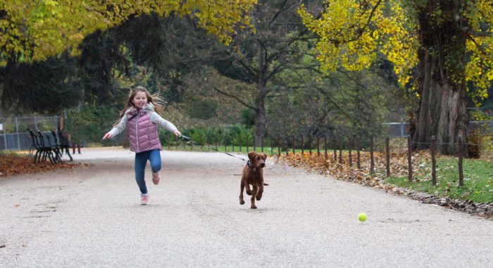 02-CHIOT ENFANT-103 1-desktop